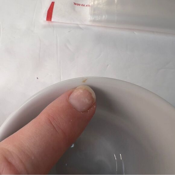 🎄2 Christmas cups!! Starbucks 2012 Christmas Red Fox with Bird & poinsettia mug - Picture 15 of 15